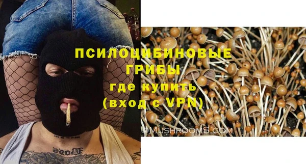 ПСИЛОЦИБИНОВЫЕ ГРИБЫ Бородино