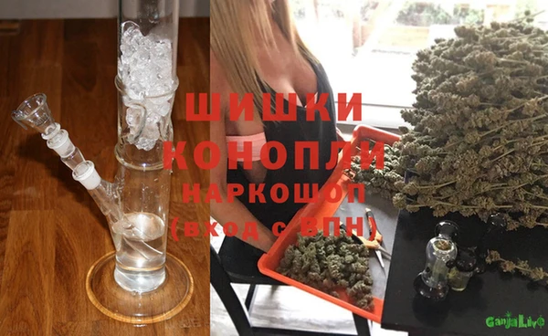 ПСИЛОЦИБИНОВЫЕ ГРИБЫ Бородино