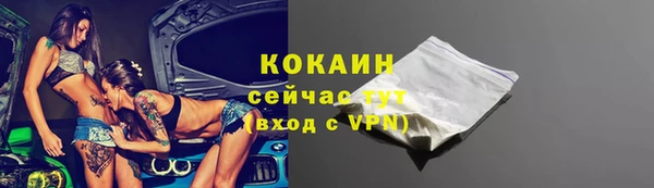 ПСИЛОЦИБИНОВЫЕ ГРИБЫ Бородино