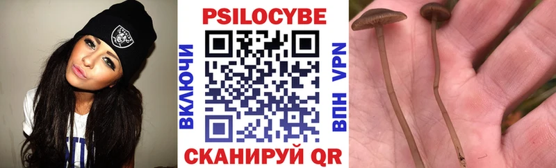 Галлюциногенные грибы Magic Shrooms Ершов